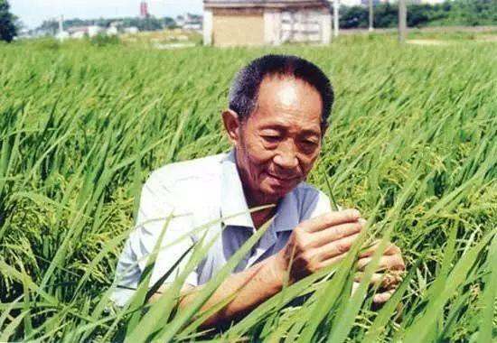 一日三餐，米香彌漫，飽食者當(dāng)憶袁公！